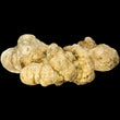 Fresh White Truffles (Tuber Magnatum Pico) 3.52oz/100g | 15g+ TRUFFLES
